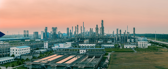 食品工业  机械制造工业  制药工业